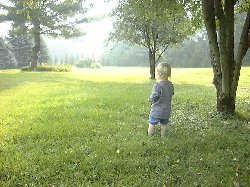 Morning Butterfly Search